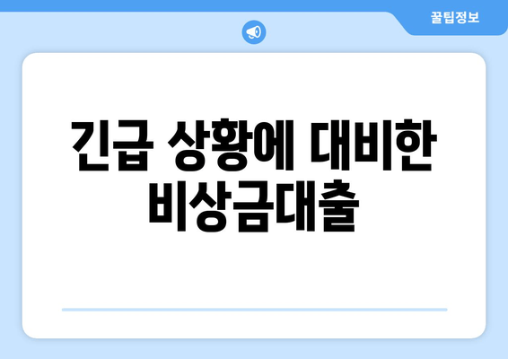 긴급 상황에 대비한 비상금대출