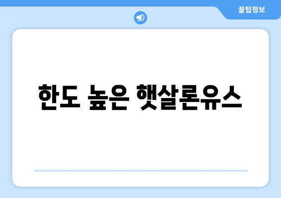 한도 높은 햇살론유스