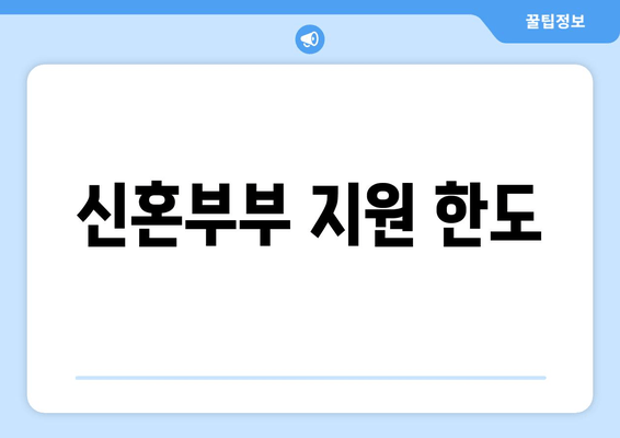 신혼부부 지원 한도