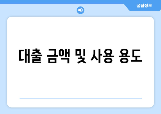 대출 금액 및 사용 용도