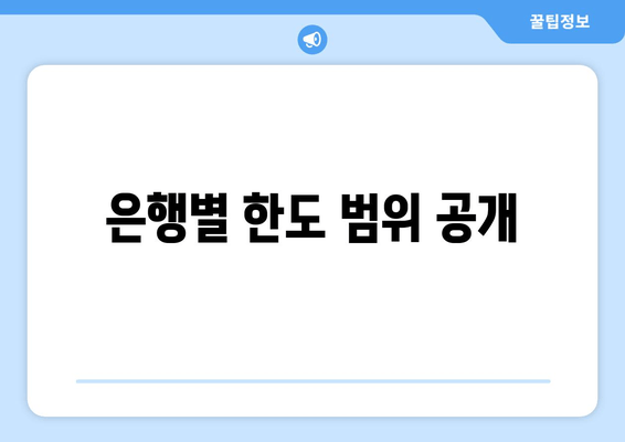 은행별 한도 범위 공개