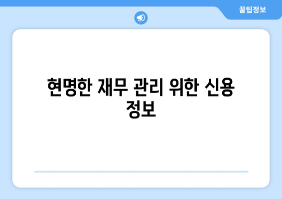 현명한 재무 관리 위한 신용 정보