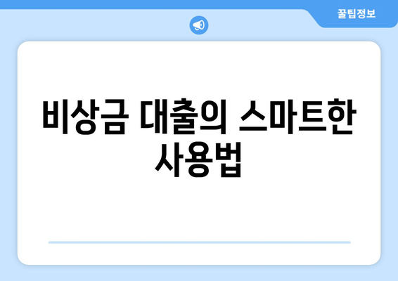 비상금 대출의 스마트한 사용법