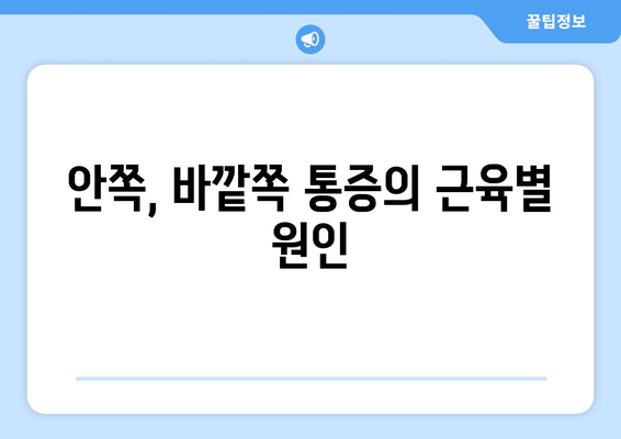 허벅지 안쪽, 바깥쪽 통증의 원인 분석| 근육별 통증 원인과 해결책 | 허벅지 통증, 근육 통증, 운동 부상, 재활