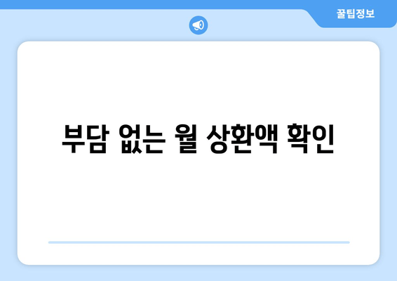 부담 없는 월 상환액 확인