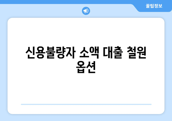 신용불량자 소액 대출 철원 옵션