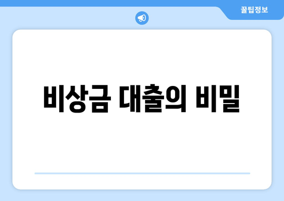 비상금 대출의 비밀