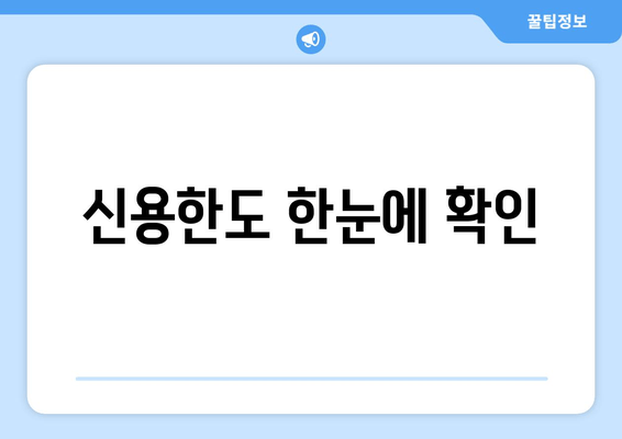 신용한도 한눈에 확인