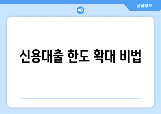 신용대출 한도 확대 비법