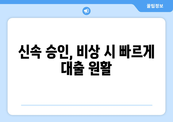 신속 승인, 비상 시 빠르게 대출 원활