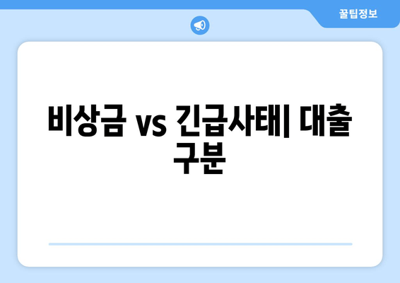 비상금 vs 긴급사태| 대출 구분