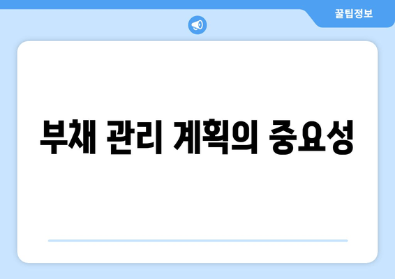 부채 관리 계획의 중요성