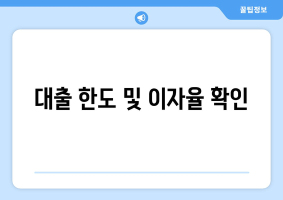 대출 한도 및 이자율 확인