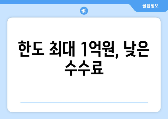 한도 최대 1억원, 낮은 수수료