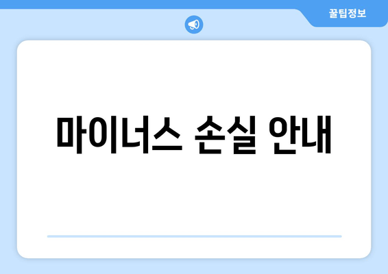 마이너스 손실 안내