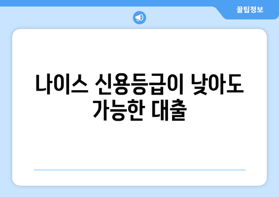 나이스 신용등급이 낮아도 가능한 대출