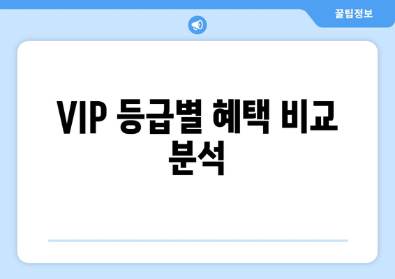 VIP 등급별 혜택 비교 분석