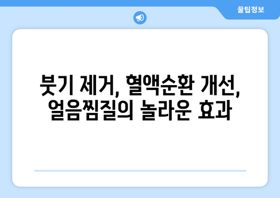 허벅지 안쪽 지방, 얼음찜질로 녹이는 성공 비결 공개! | 다이어트, 뱃살, 허벅지 살, 운동, 팁