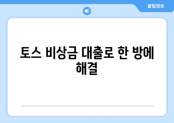 토스 비상금 대출로 한 방에 해결