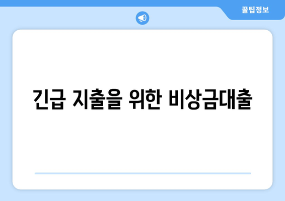 긴급 지출을 위한 비상금대출