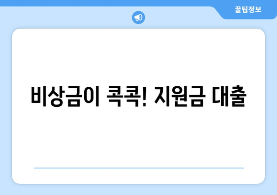 비상금이 콕콕! 지원금 대출