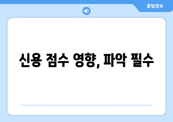 신용 점수 영향, 파악 필수