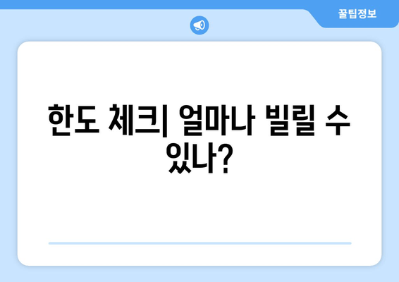 한도 체크| 얼마나 빌릴 수 있나?