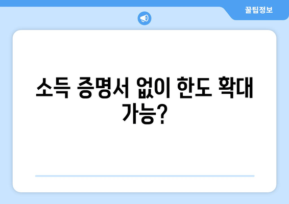 소득 증명서 없이 한도 확대 가능?