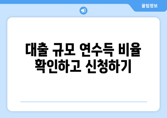 대출 규모 연수득 비율 확인하고 신청하기