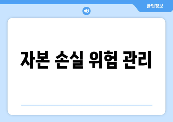 자본 손실 위험 관리