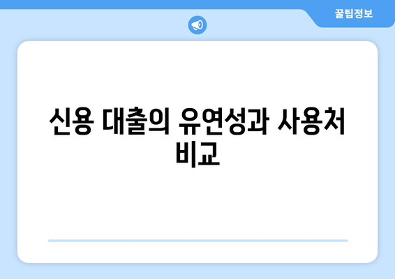 신용 대출의 유연성과 사용처 비교