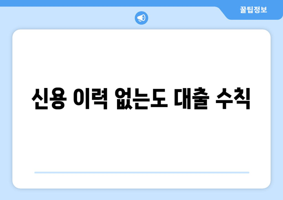 신용 이력 없는도 대출 수칙