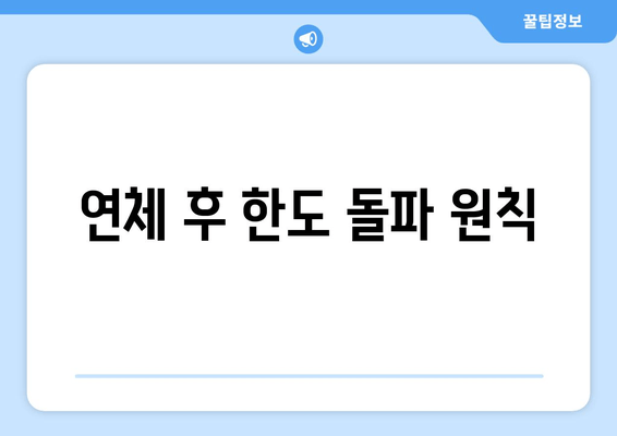 연체 후 한도 돌파 원칙