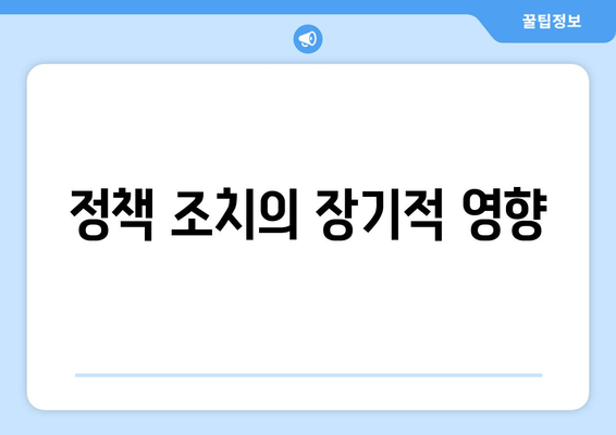 정책 조치의 장기적 영향