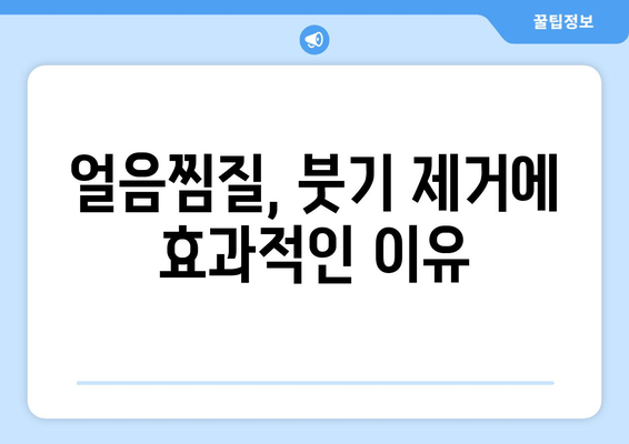 허벅지 안쪽 살, 얼음찜질로 효과적으로 해결하기 | 다이어트, 운동, 셀룰라이트, 부종