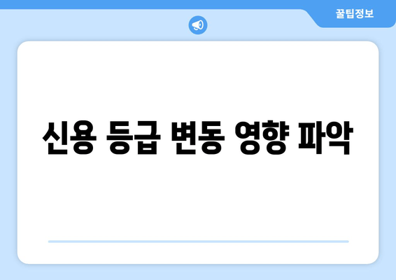 신용 등급 변동 영향 파악