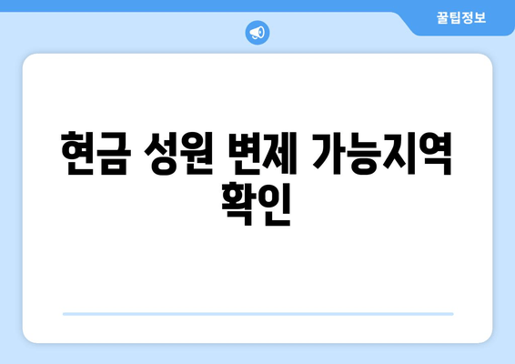 현금 성원 변제 가능지역 확인