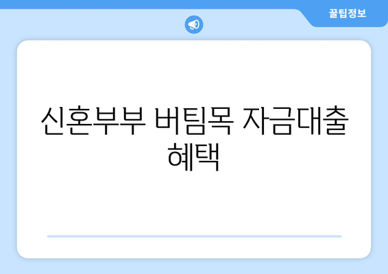 신혼부부 버팀목 자금대출 혜택