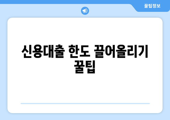 신용대출 한도 끌어올리기 꿀팁