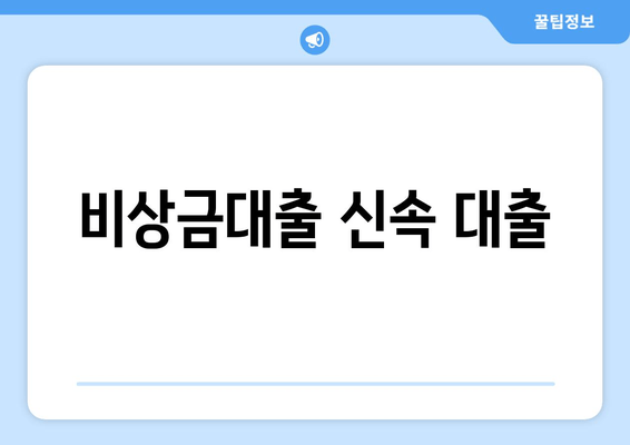 비상금대출 신속 대출