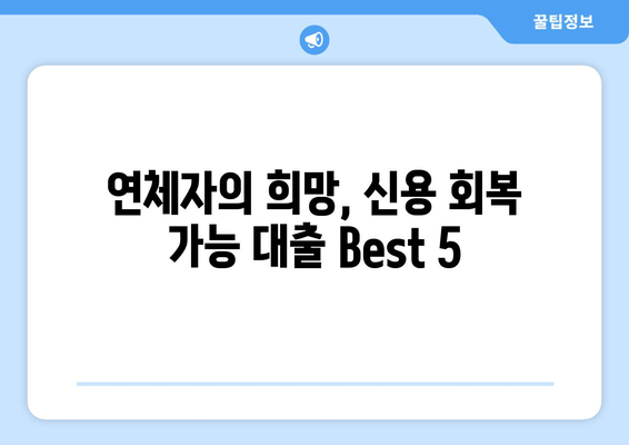 연체자의 희망, 신용 회복 가능 대출 Best 5