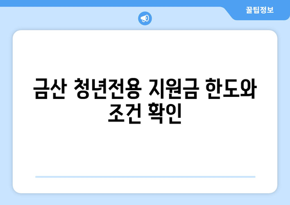 금산 청년전용 지원금 한도와 조건 확인