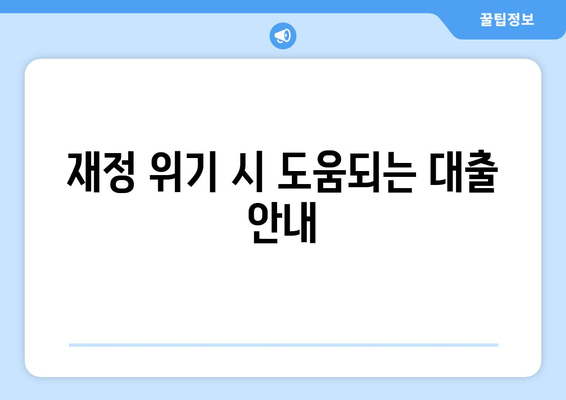 재정 위기 시 도움되는 대출 안내