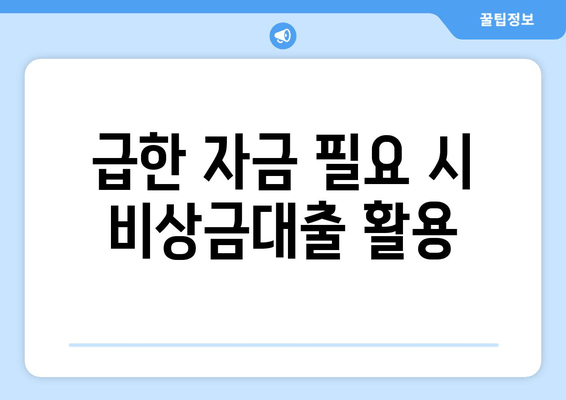 급한 자금 필요 시 비상금대출 활용