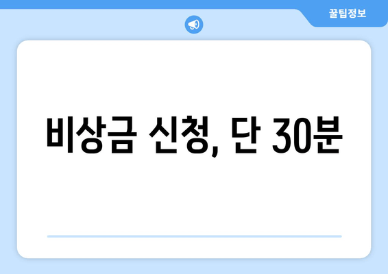 비상금 신청, 단 30분