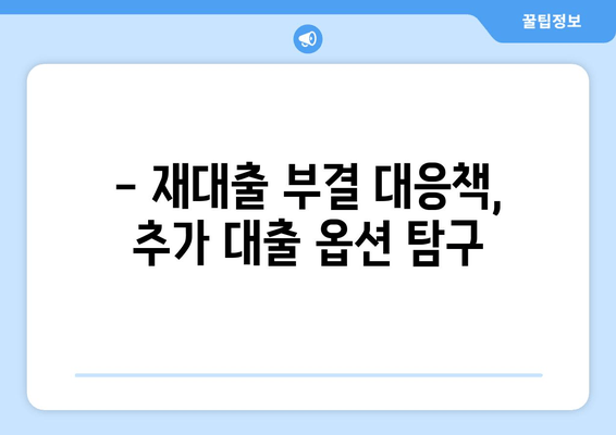 - 재대출 부결 대응책, 추가 대출 옵션 탐구