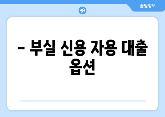 - 부실 신용 자용 대출 옵션