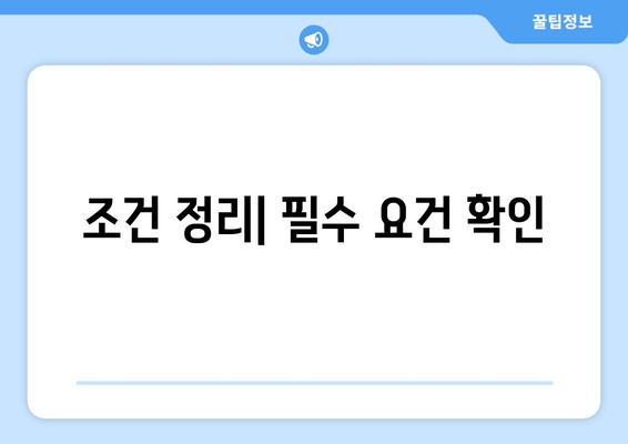 조건 정리| 필수 요건 확인