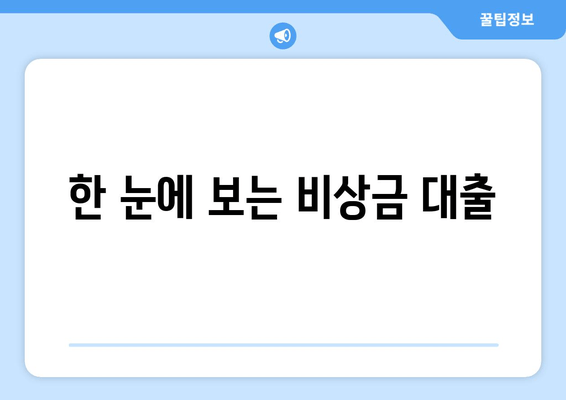 한 눈에 보는 비상금 대출