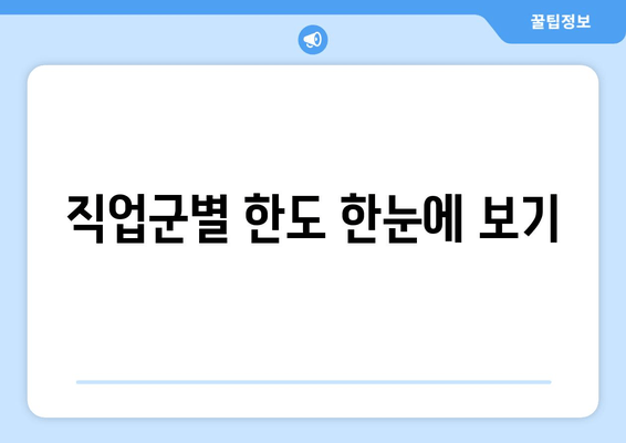 직업군별 한도 한눈에 보기